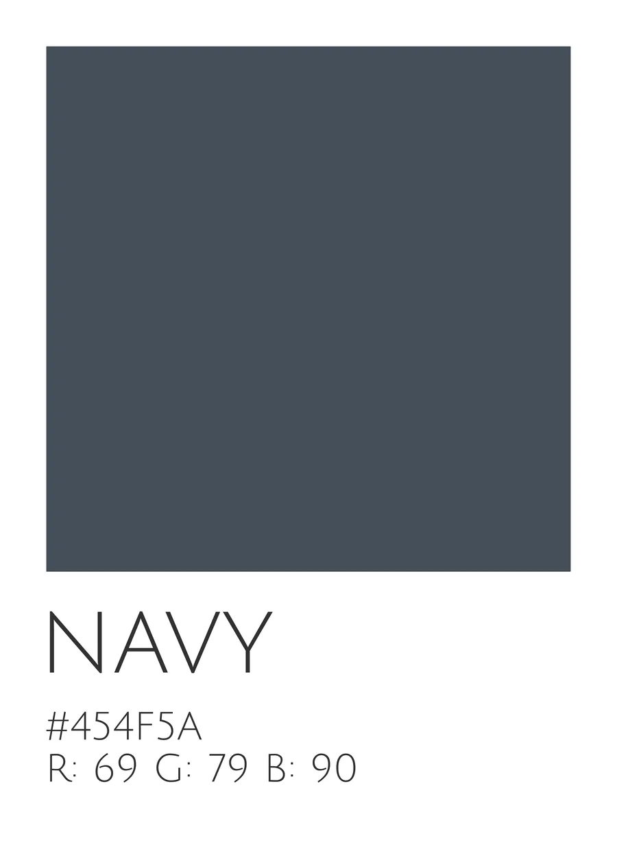 Navy